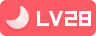 user_lv_28
